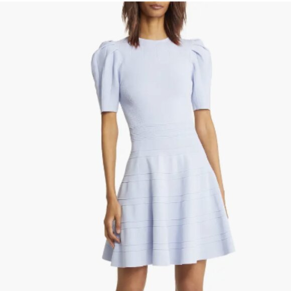 Ted Baker London Dresses & Skirts - Ted Baker London Velvey Puff sleeve dress size 4